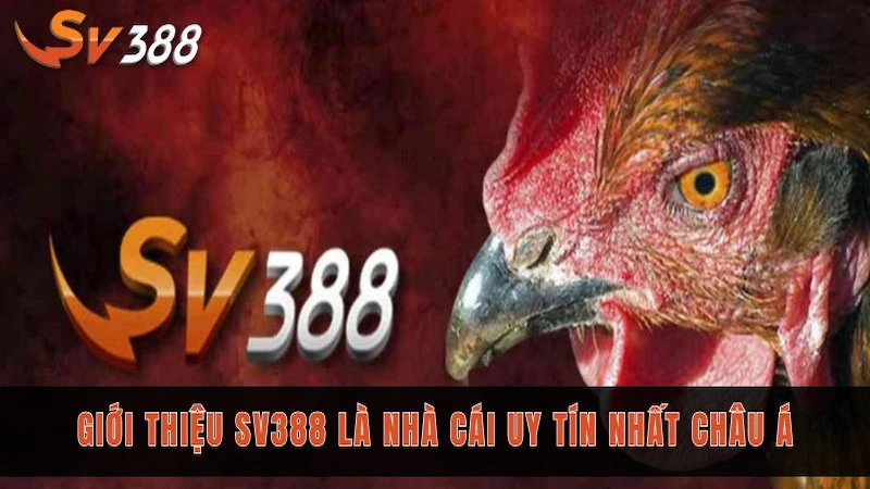 Tại sao SV388 chinh phục được tất cả người chơi?